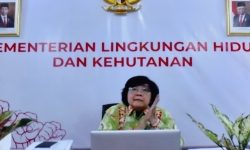 Menteri LHK: Program Perhutanan Sosial Tidak Cukup Hanya Pemberian SK