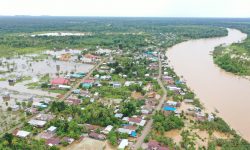 Buaya Dilaporkan Muncul di Kawasan Banjir di Sembakung