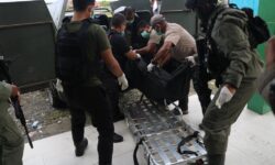 Tim Gabungan TNI-Polri Berhasil Evakuasi 1 Korban Penembakan KKB di Nduga Papua