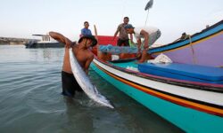 Nelayan Boleh Pakai Dogol Asal Tidak Merusak Konservasi Ikan Berukuran Kecil