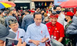 Respons Jokowi Soal Usulan Penghapusan Jabatan Gubernur