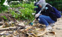 Hari Lingkungan Hidup, Volunteer PLN Bareng Pegiat Lingkungan Bersih-bersih Pantai Balikpapan