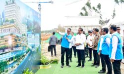 Pesan Jokowi Optimalkan Pemanfaatan Energi Hijau di IKN