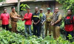 Perkebunan Kakao Diperluas ke Kukar dan Kubar